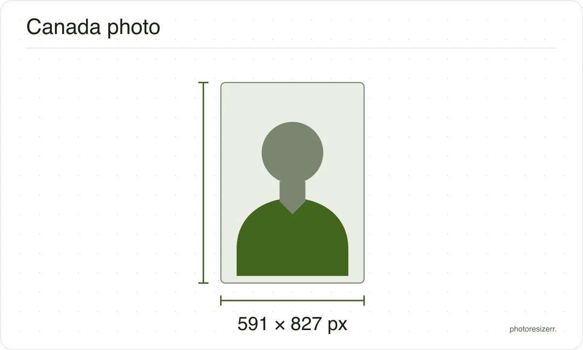 A neutral portrait silhouette in a 591 × 827 px frame matching this tool’s output preset.