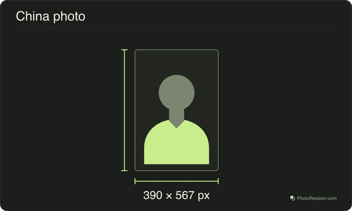 A neutral portrait silhouette in a 390 × 567 px frame matching this tool’s output preset.