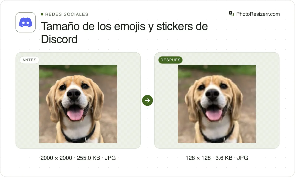 Tamaño de los emojis y stickers de Discord, antes y después: una foto de un beagle sonriente (2000 × 2000, 255.0 KB JPG) y la misma foto redimensionada a 128 × 128 píxeles, ahora 128 × 128, 3.6 KB JPG.