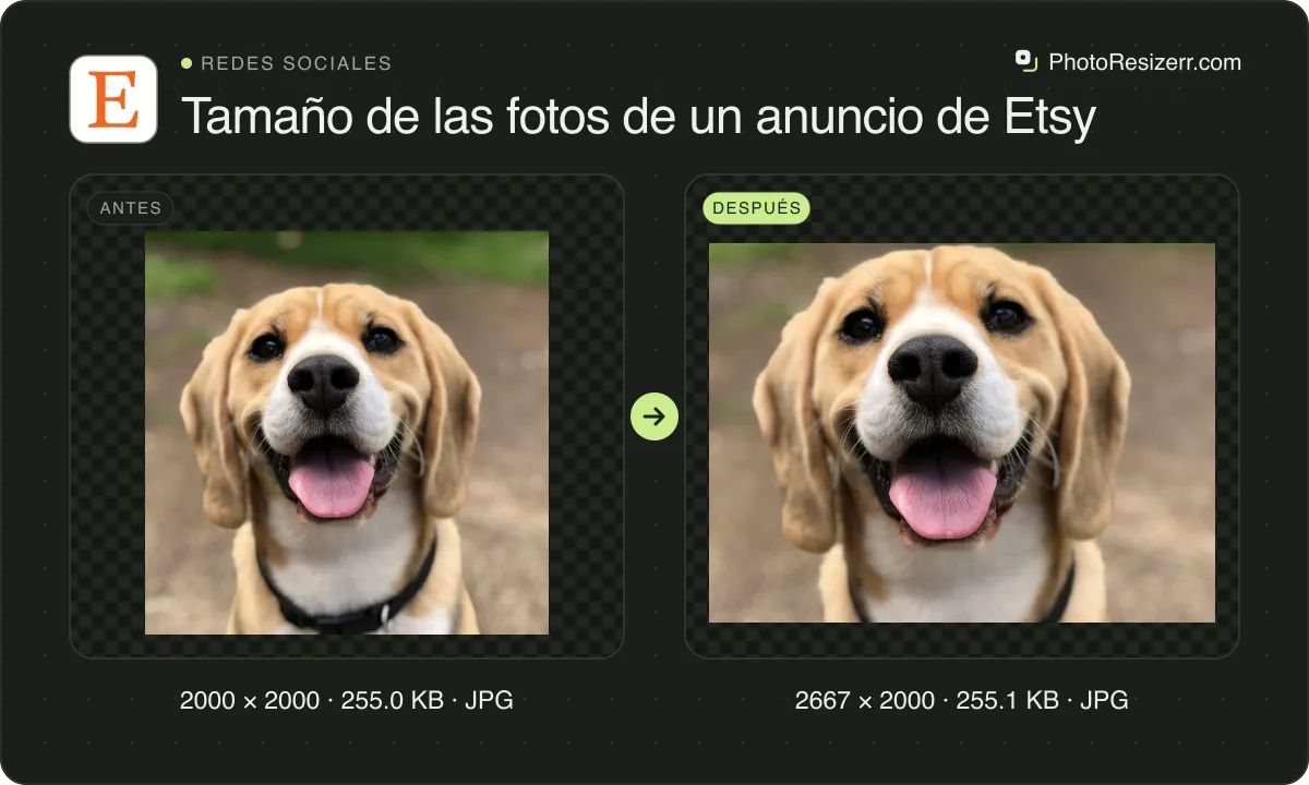 Tamaño de las fotos de un anuncio de Etsy, antes y después: una foto de un beagle sonriente (2000 × 2000, 255.0 KB JPG) y la misma foto redimensionada a 2667 × 2000 píxeles, ahora 2667 × 2000, 255.1 KB JPG.