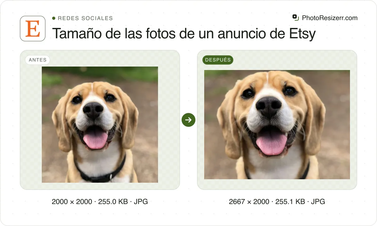 Tamaño de las fotos de un anuncio de Etsy, antes y después: una foto de un beagle sonriente (2000 × 2000, 255.0 KB JPG) y la misma foto redimensionada a 2667 × 2000 píxeles, ahora 2667 × 2000, 255.1 KB JPG.
