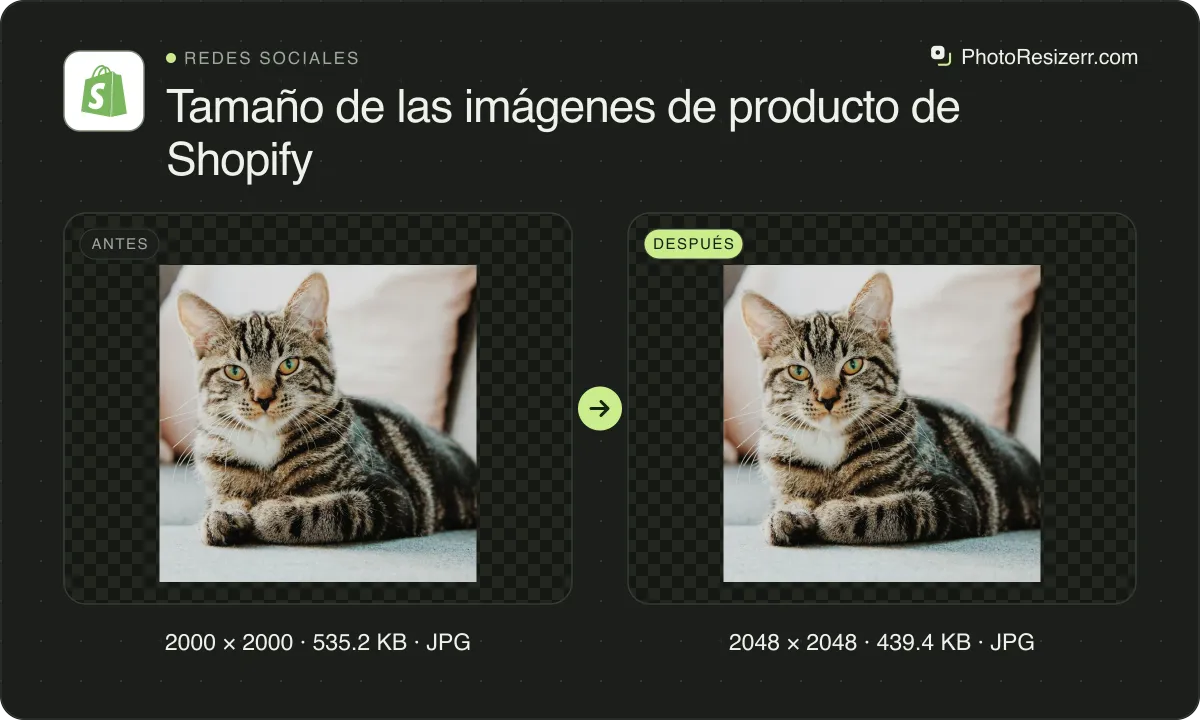 Tamaño de las imágenes de producto de Shopify, antes y después: una foto de un gato atigrado en un sofá (2000 × 2000, 535.2 KB JPG) y la misma foto redimensionada a 2048 × 2048 píxeles, ahora 2048 × 2048, 439.4 KB JPG.