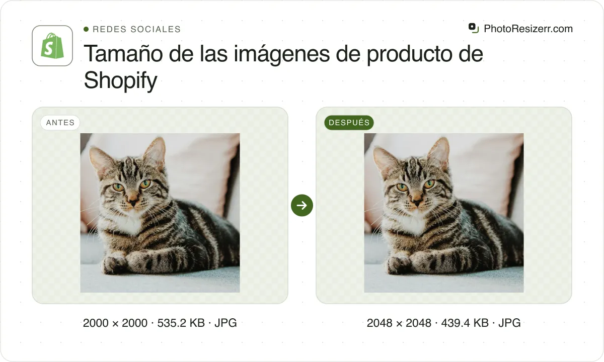 Tamaño de las imágenes de producto de Shopify, antes y después: una foto de un gato atigrado en un sofá (2000 × 2000, 535.2 KB JPG) y la misma foto redimensionada a 2048 × 2048 píxeles, ahora 2048 × 2048, 439.4 KB JPG.