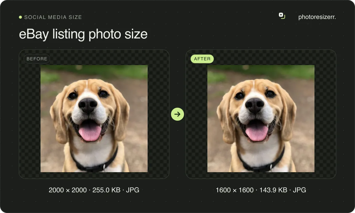 eBay listing photo size, before and after: a photo of a smiling beagle (2000 × 2000, 255.0 KB JPG), and the same photo resized to 1600 × 1600 pixels, now 1600 × 1600, 143.9 KB JPG.