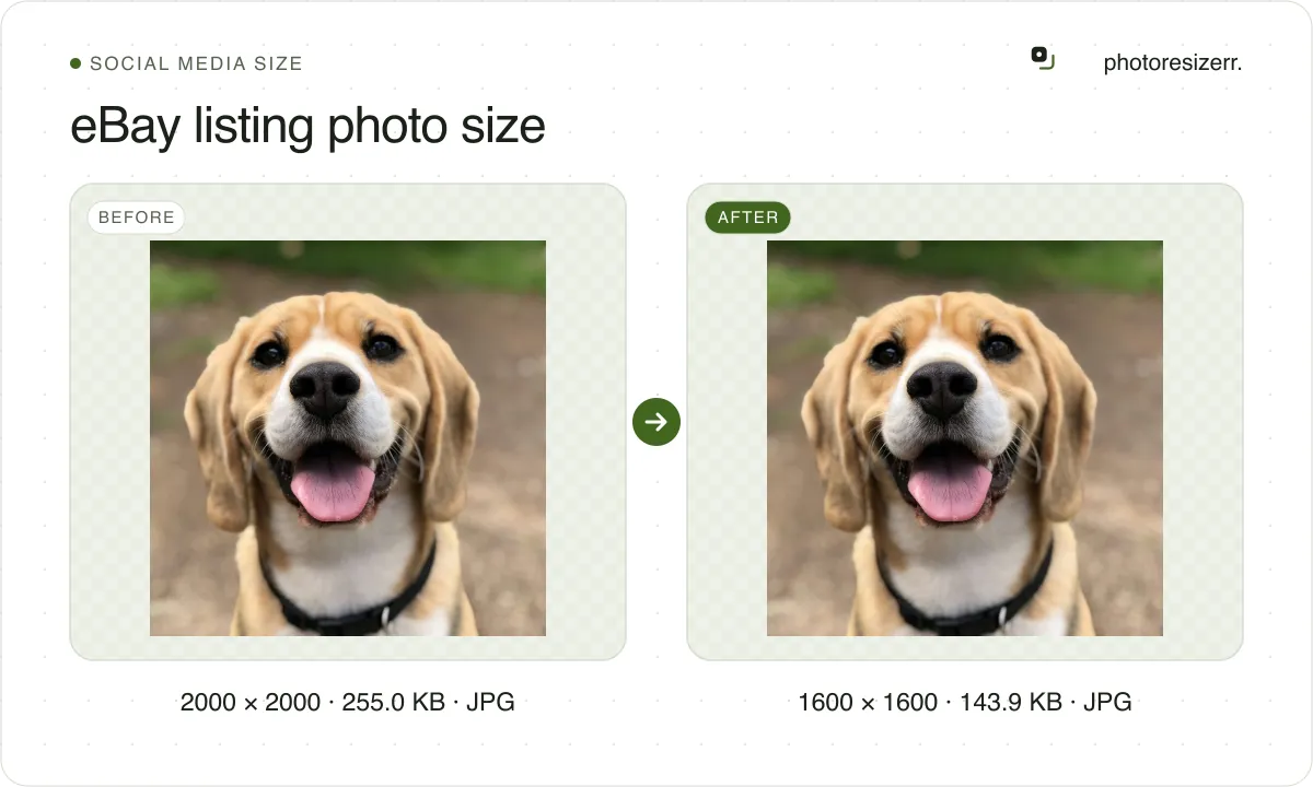 eBay listing photo size, before and after: a photo of a smiling beagle (2000 × 2000, 255.0 KB JPG), and the same photo resized to 1600 × 1600 pixels, now 1600 × 1600, 143.9 KB JPG.