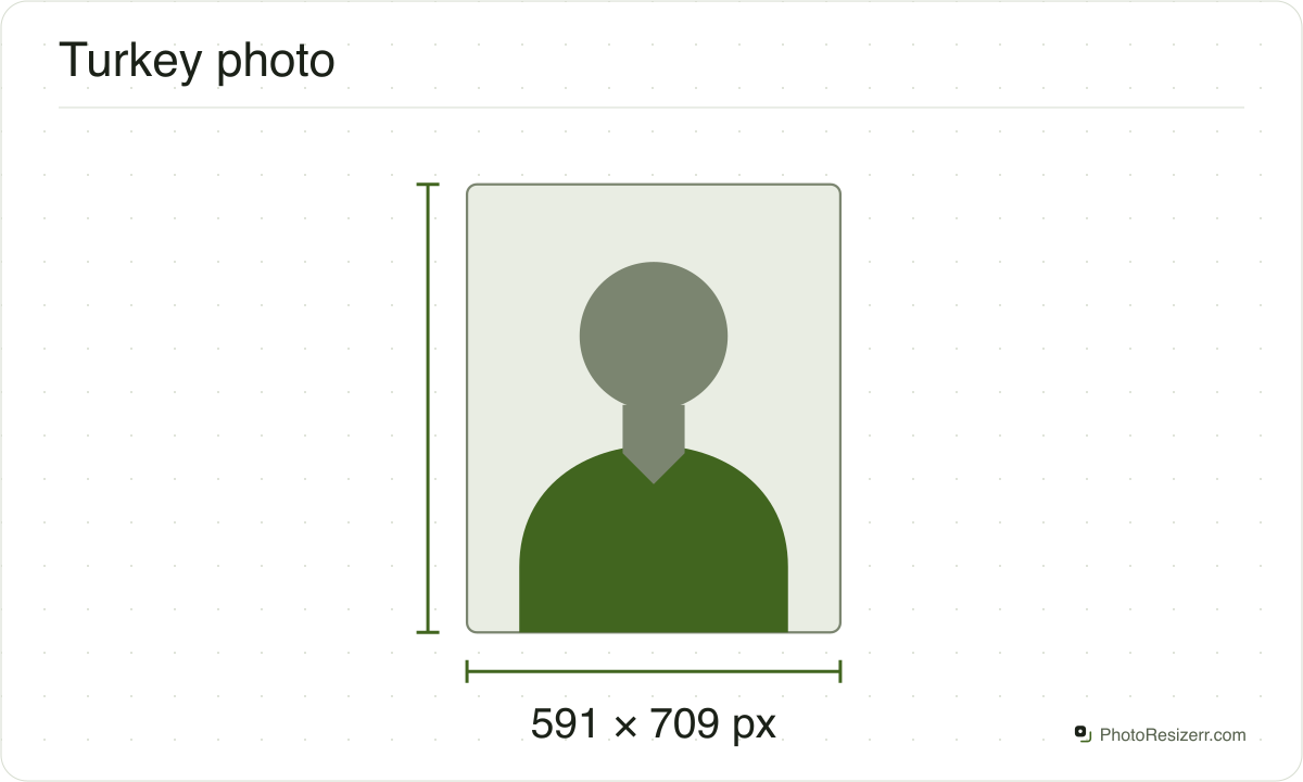 A neutral portrait silhouette in a 591 × 709 px frame matching this tool’s output preset.